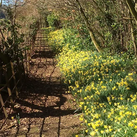 Landhaus The Wrea Head Hall & Restaurant Scarborough