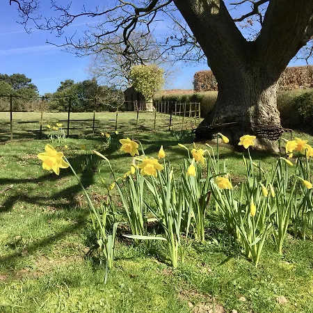 Landhaus The Wrea Head Hall & Restaurant Scarborough